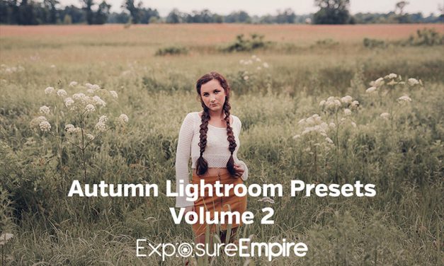 Autumn Lightroom Presets – Vol. 2