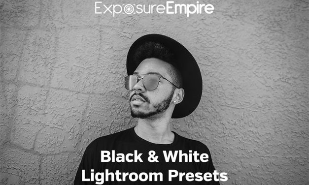 Black & White Lightroom Presets