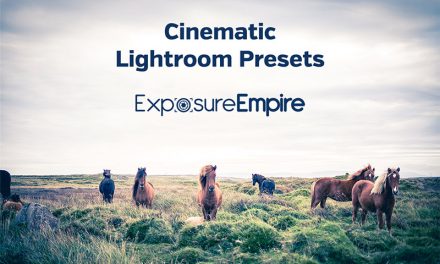 Cinematic Lightroom Presets