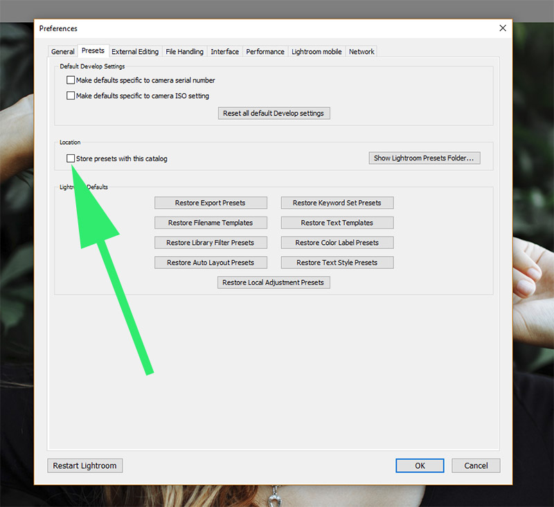 How to Install Lightroom Presets